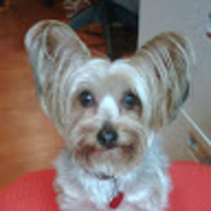 Meet your Posher, Sara